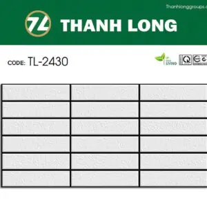 Gạch 20x40 TL.2430