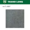 Gạch 30x30 TL.3057