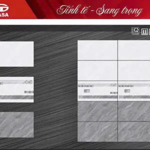 Gạch 30x60 TS.2884