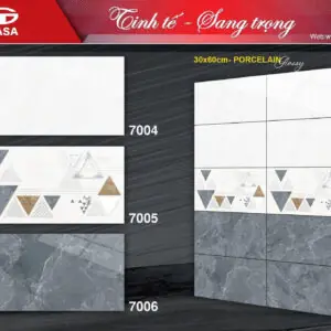 Gạch 30x60 TS.7004