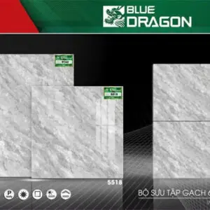 Gạch 60x60 BD.5518