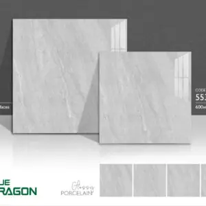 Gạch 60x60 BD.5534