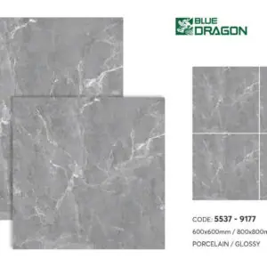 Gạch 60x60 BD.5537