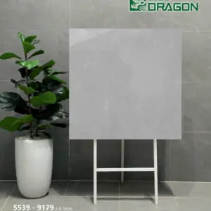 Gạch 60x60 BD.5539