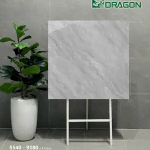 Gạch 60x60 BD.5540