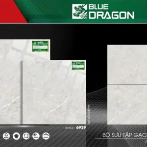 Gạch 60x60 BD.6929