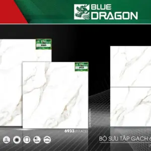 Gạch 60x60 BD.6933