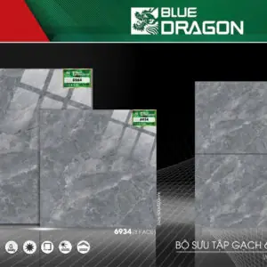 Gạch 60x60 BD.6934