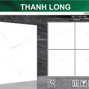 Gạch 60x60 TL.6367
