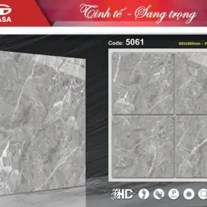 Gạch 60x60 TS.5061