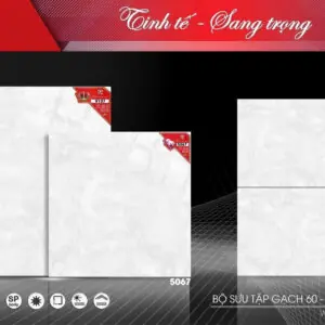 Gạch 60x60 TS.5067
