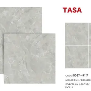 Gạch 60x60 TS.5087