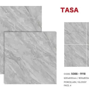 Gạch 60x60 TS.5088