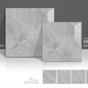 Gạch 60x60 TS.5089