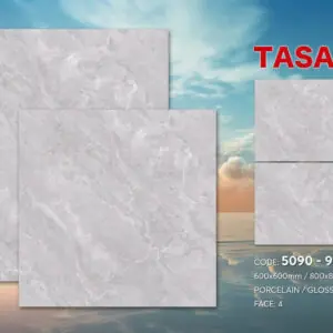 Gạch 60x60 TS.5090