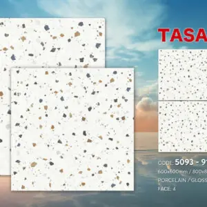 Gạch 60x60 TS.5093
