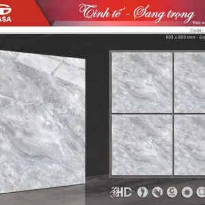 Gạch 60x60 TS.6053