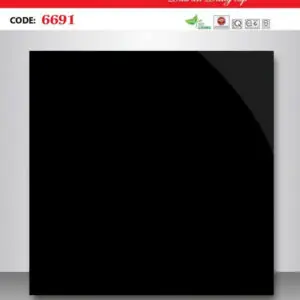 Gạch 60x60 TS.6691