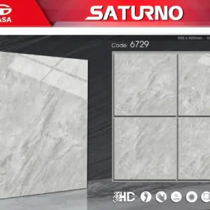 Gạch 60x60 TS.6729