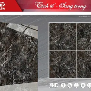 Gạch 60x60 TS.6822
