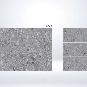 Gạch 60x120 BD.1724