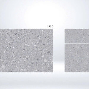 Gạch 60x120 BD.1725