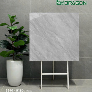 Gạch 80x80 BD.9180