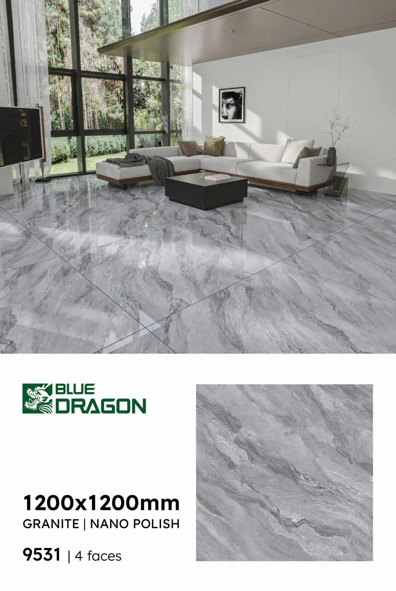 Gạch 120x120 BD.9531