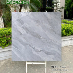 Gạch 100x100 BD.9841