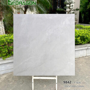 Gạch 100x100 BD.9842