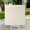 Gạch 100x100 BD.9843