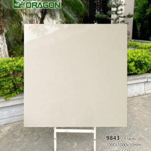 Gạch 100x100 BD.9843