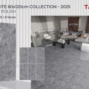 Gạch 60x120 TS.1640