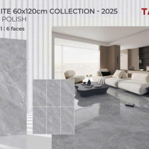 Gạch 60x120 TS.1641