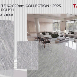 Gạch 60x120 TS.1642