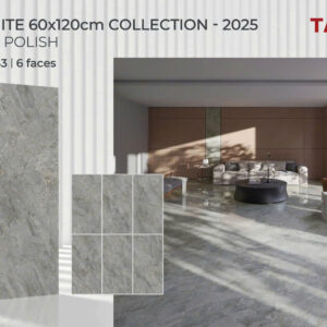 Gạch 60x120 TS.1643