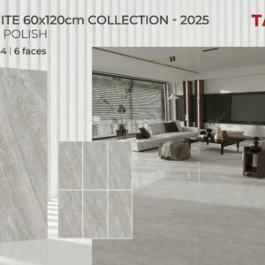 Gạch 60x120 TS.1644