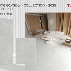 Gạch 60x120 TS.1645