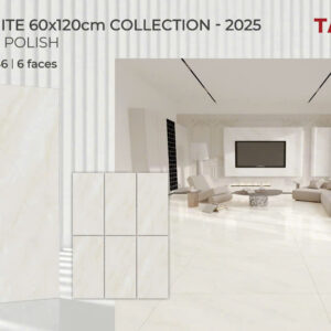 Gạch 60x120 TS.1646