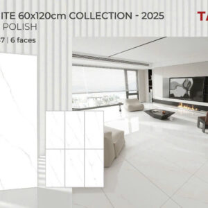 Gạch 60x120 TS.1647