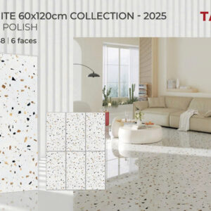 Gạch 60x120 TS.1648