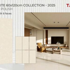 Gạch 60x120 TS.1649