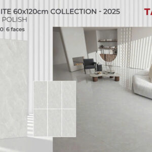 Gạch 60x120 TS.1650