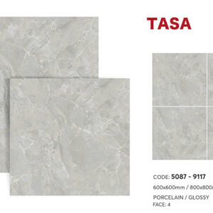 Gạch 80x80 TS.9117