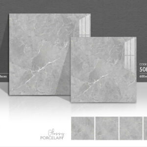 Gạch 80x80 TS.9119