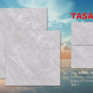 Gạch 80x80 TS.9122