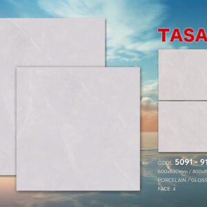 Gạch 80x80 TS.9123