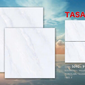 Gạch 80x80 TS.9124