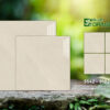 Gạch 80x80 TS.9182