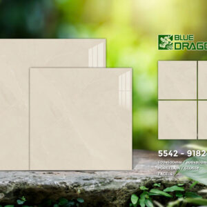 Gạch 80x80 TS.9182